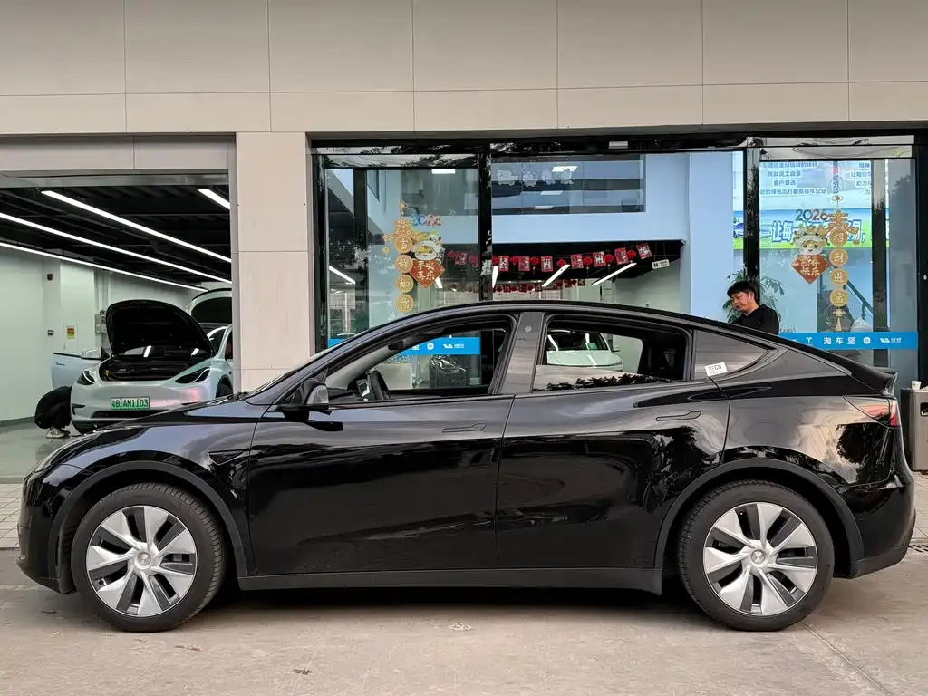 Tesla Model Y — фото 8
