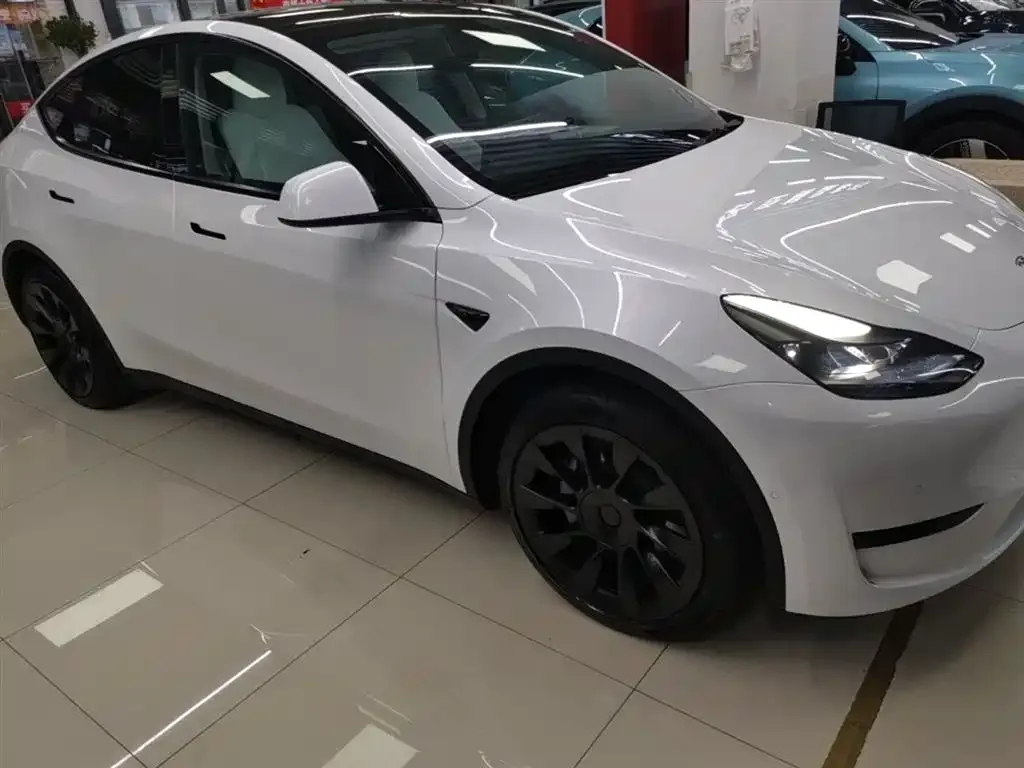 Tesla Model Y — фото 10
