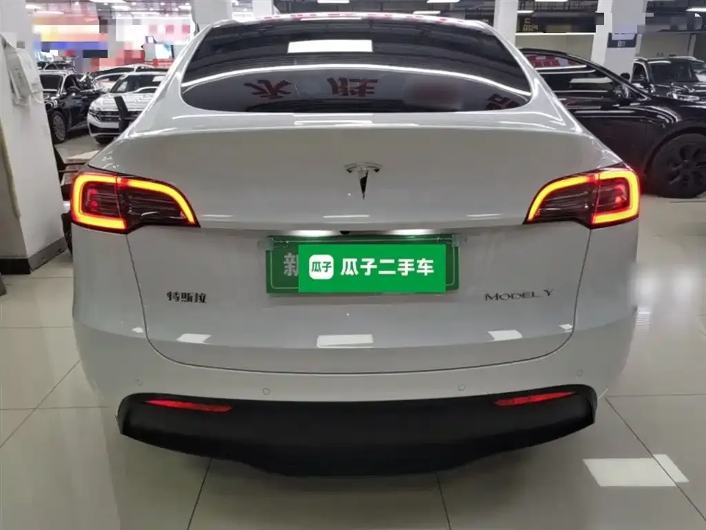 Tesla Model Y — фото 9