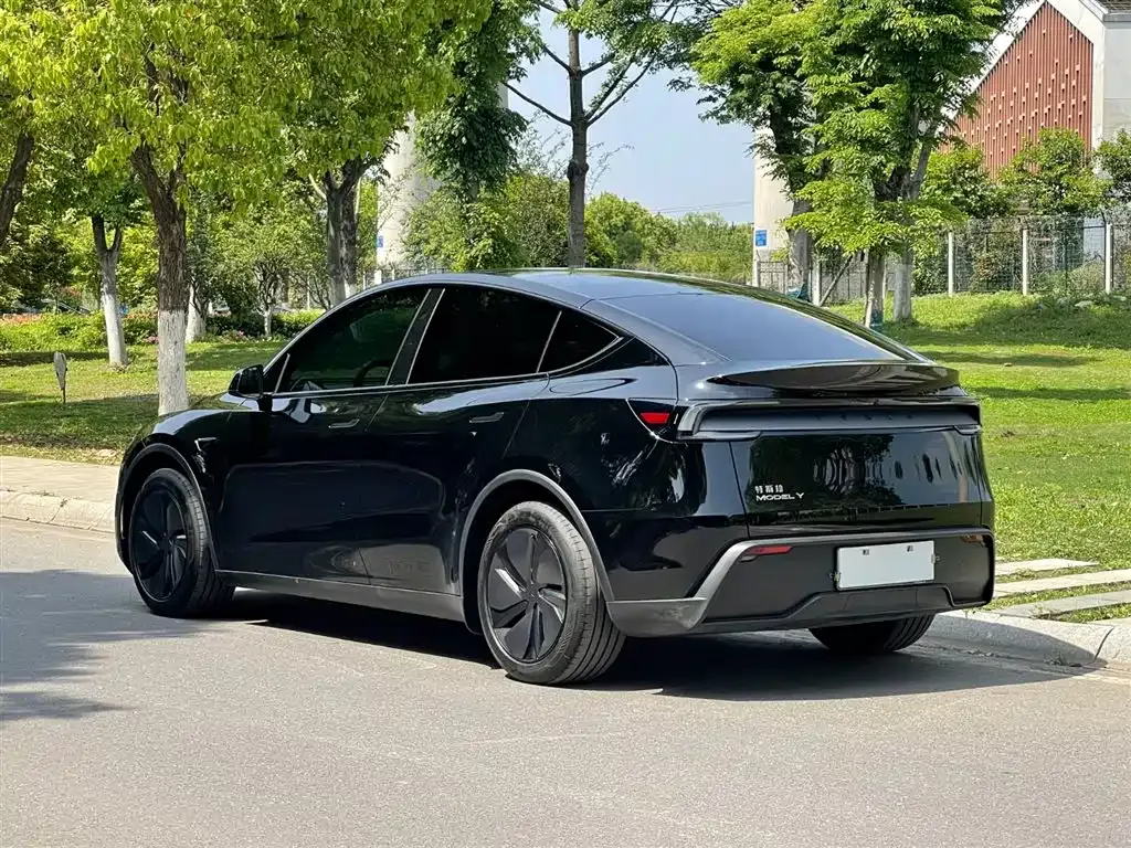 Tesla Model Y — фото 10