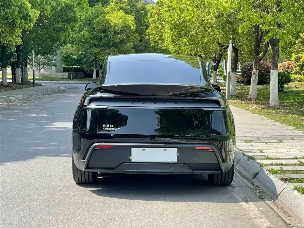 Tesla Model Y — фото 5