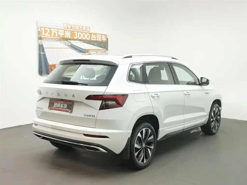Skoda Karoq 2024 из CN, фото 6