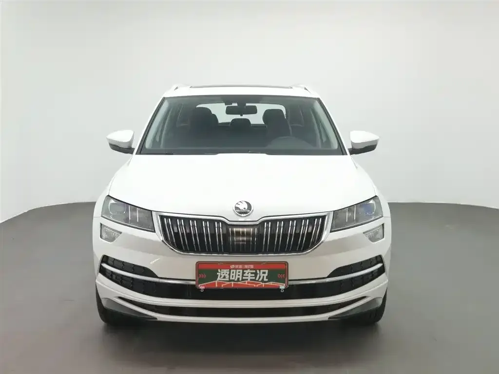 Skoda Karoq 2024 из CN, фото 5