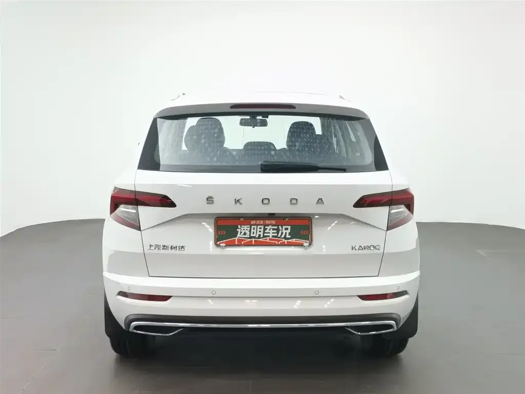Skoda Karoq 2024 из CN, фото 10