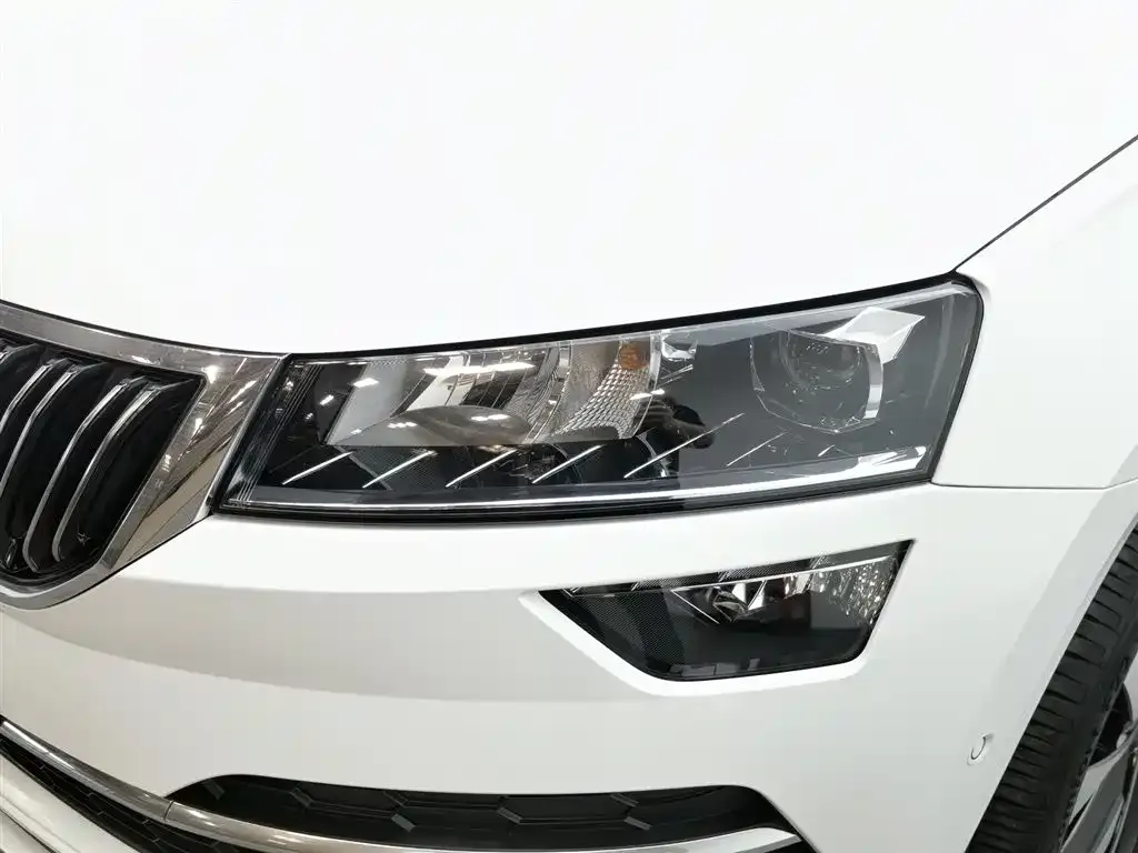 Skoda Karoq 2024 из CN, фото 4