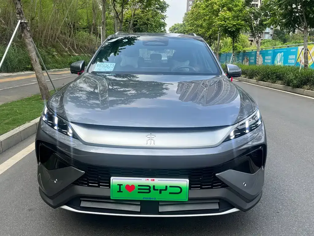 BYD Pro New Energy — фото 9