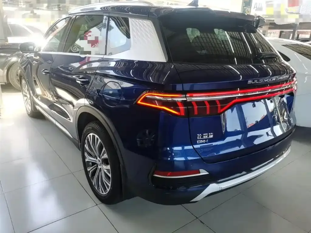 BYD Pro New Energy — фото 10