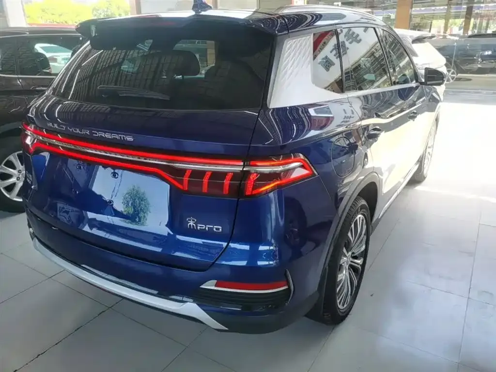 BYD Pro New Energy — фото 4