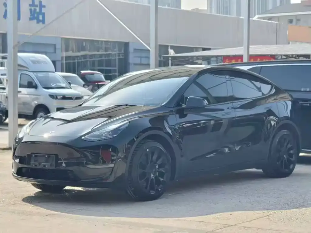 Tesla Model Y 2023 из CN, фото 6
