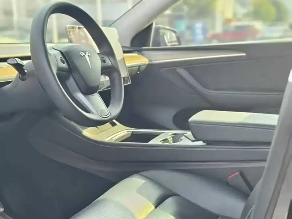 Tesla Model Y 2023 из CN, фото 3