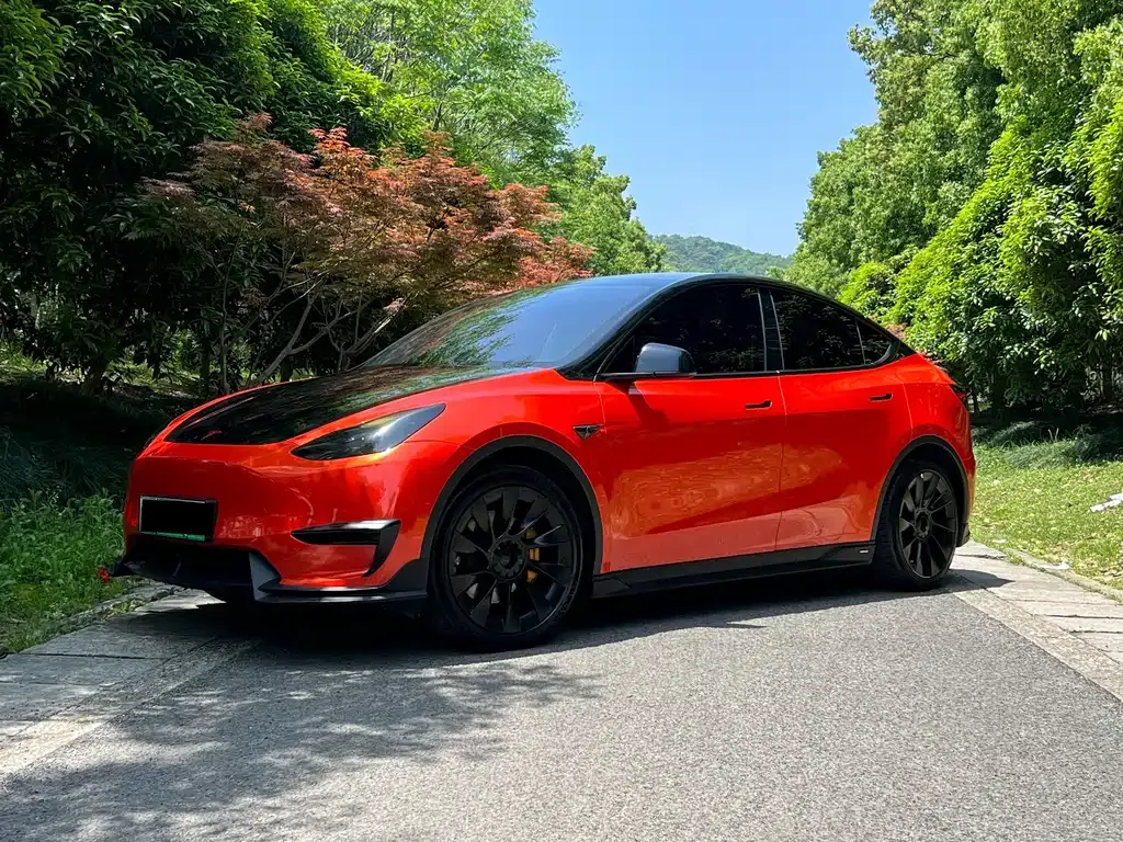 Tesla Model Y — фото 1