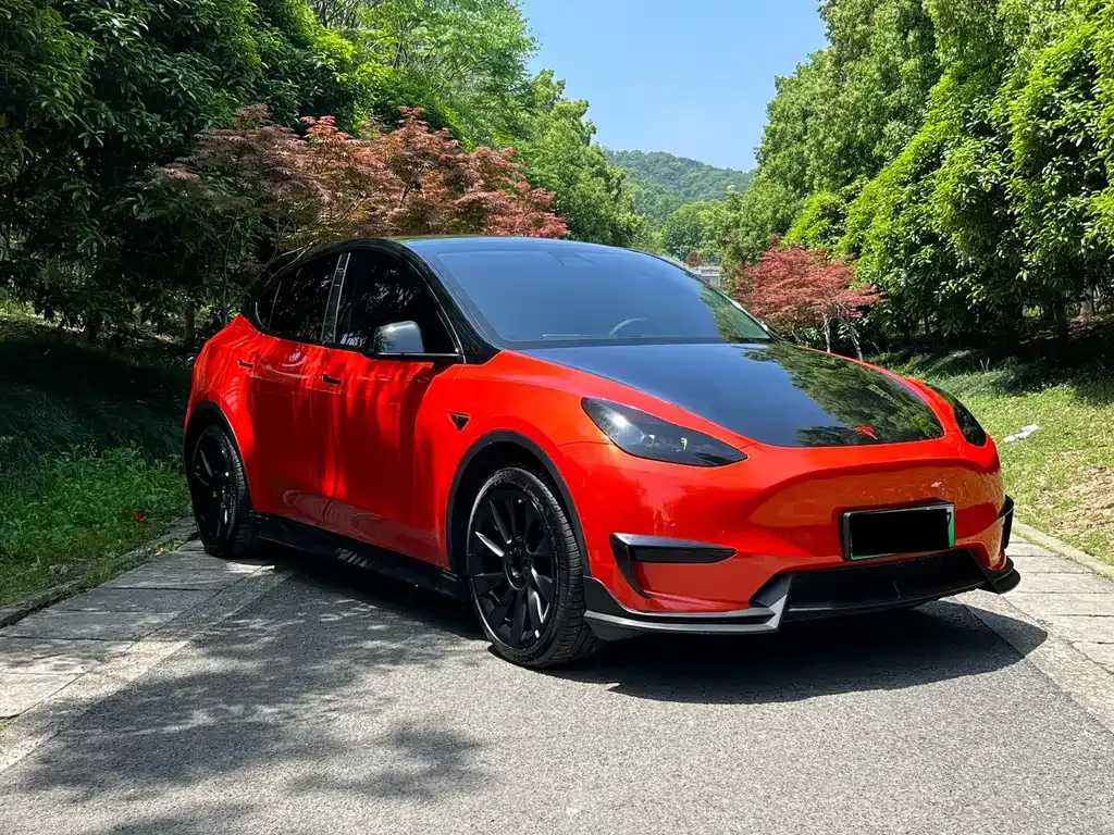 Tesla Model Y — фото 9