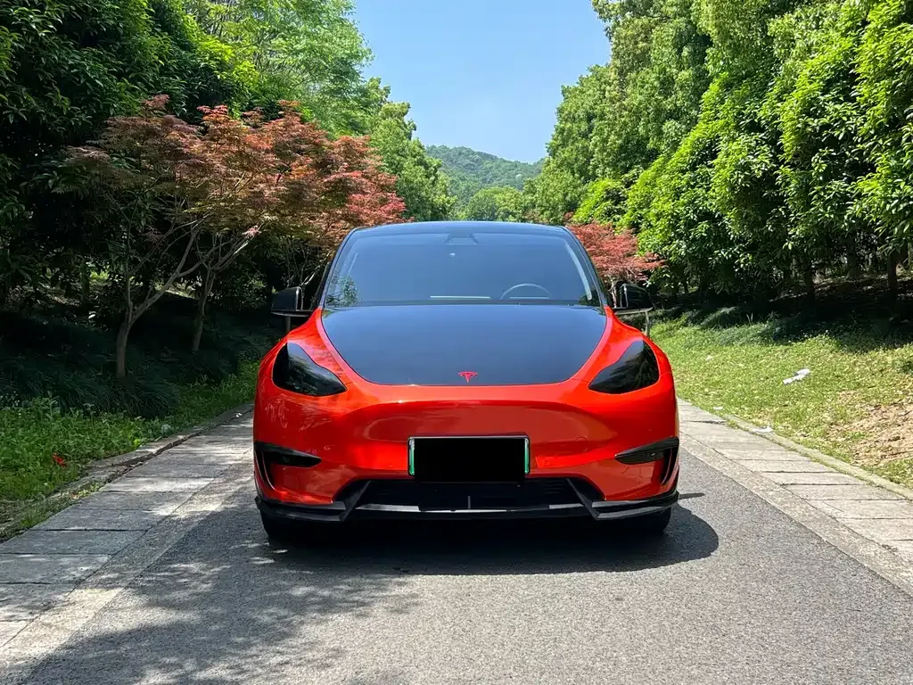Tesla Model Y — фото 3