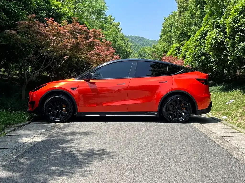 Tesla Model Y — фото 4