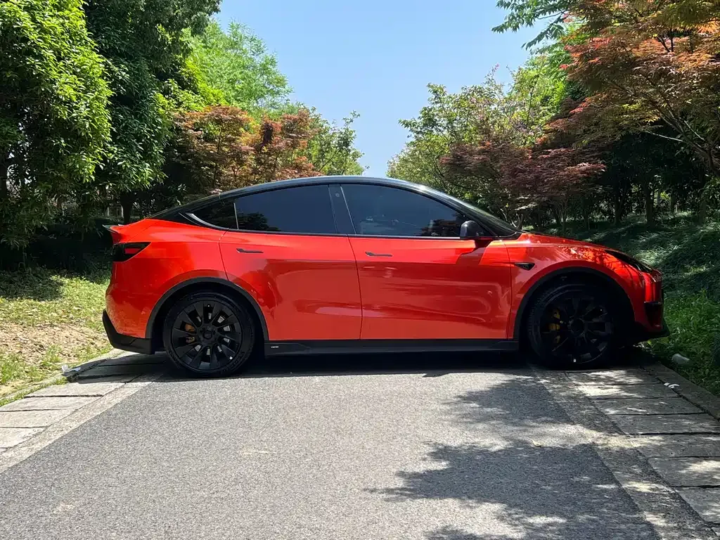 Tesla Model Y — фото 10