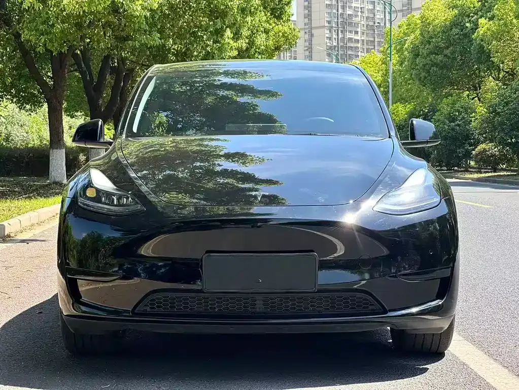 Tesla Model Y — фото 5