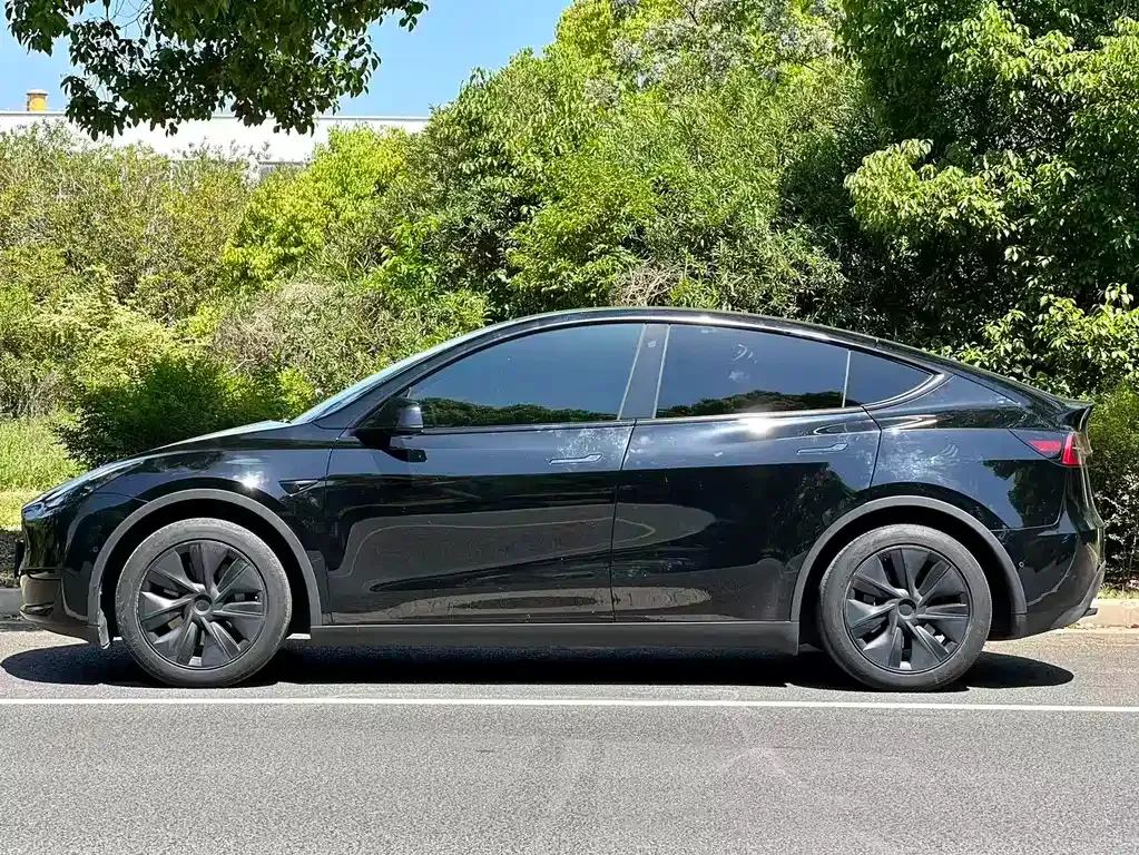 Tesla Model Y — фото 10