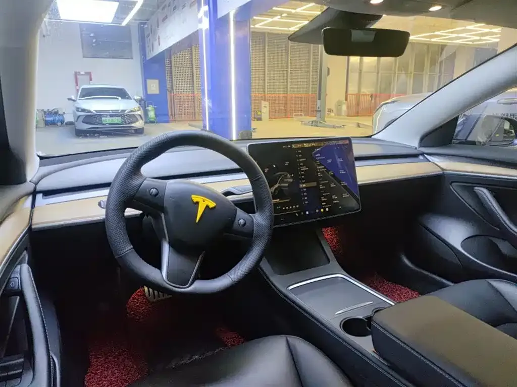 Tesla Model 3 2021 из CN, фото 6