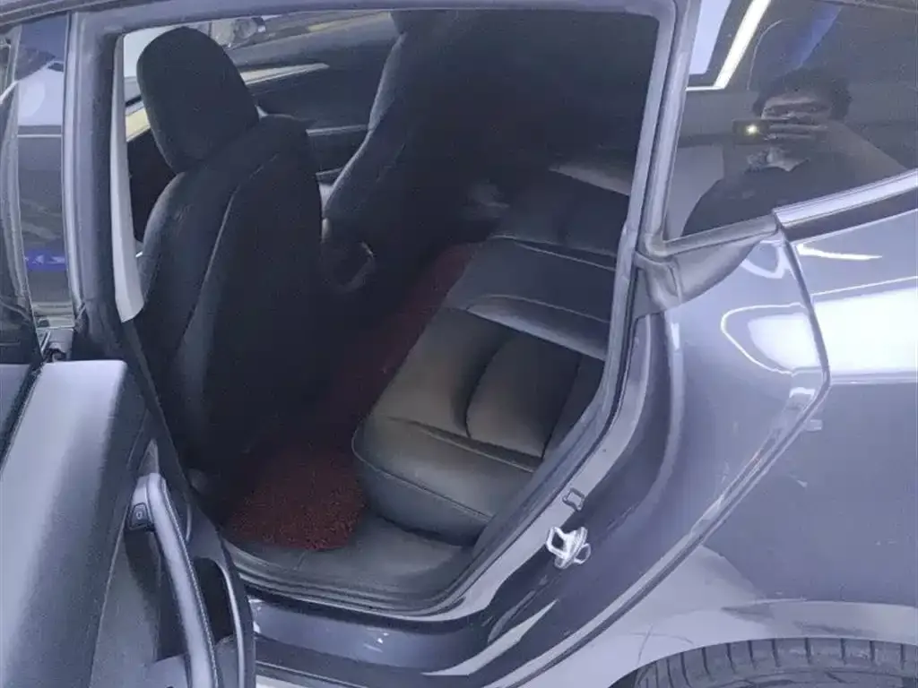 Tesla Model 3 2021 из CN, фото 3