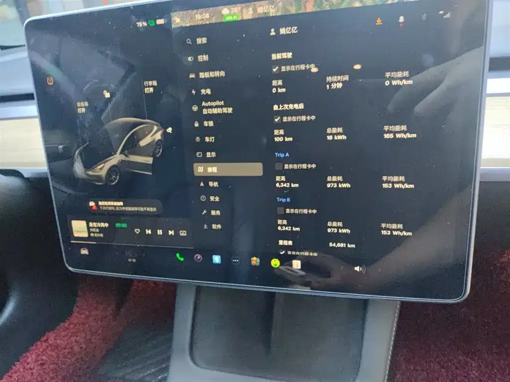 Tesla Model 3 2021 из CN, фото 8