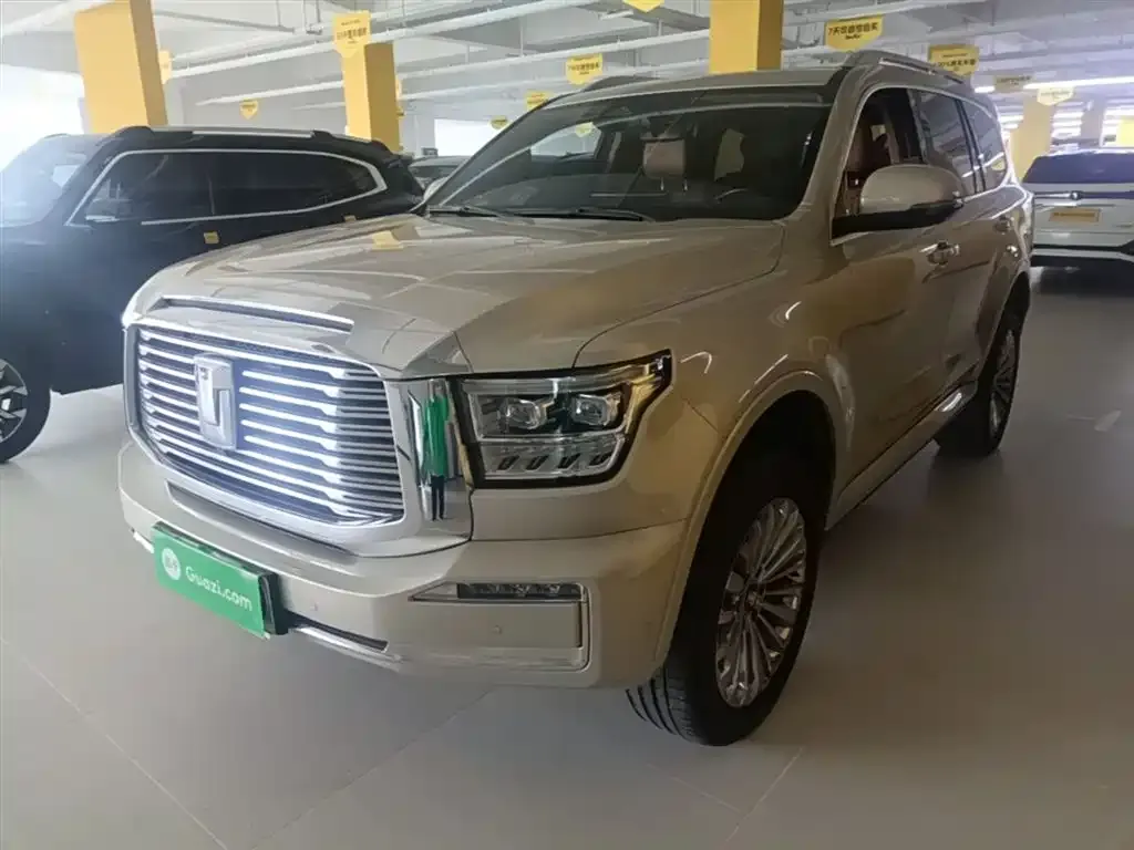 Tank 500 New Energy 2023 из CN, фото 9