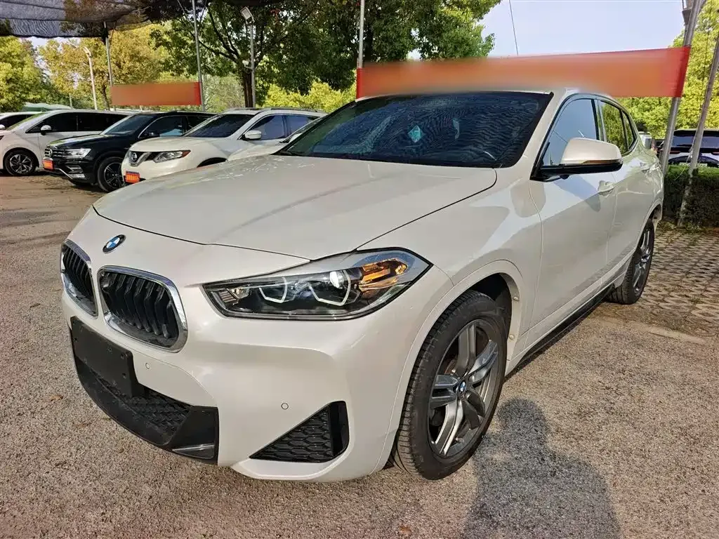 BMW X2 — фото 1