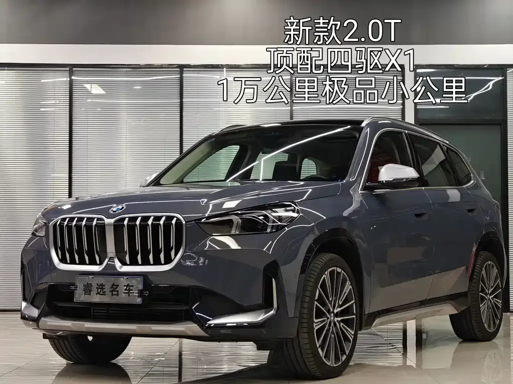 BMW X1 — фото 1