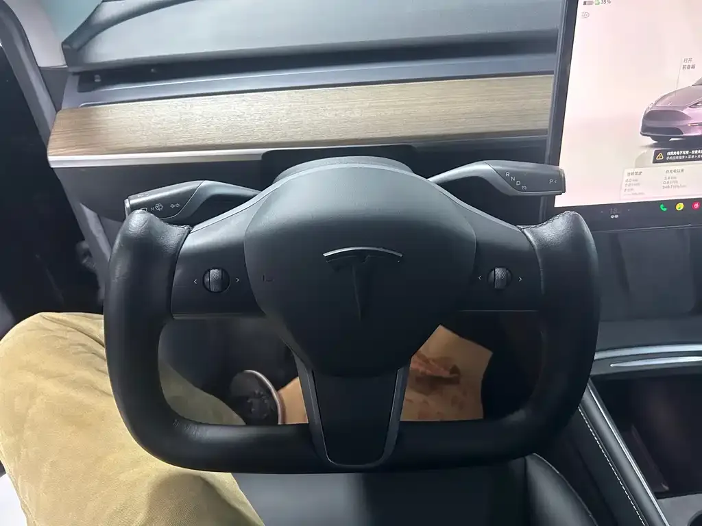 Tesla Model Y — фото 2