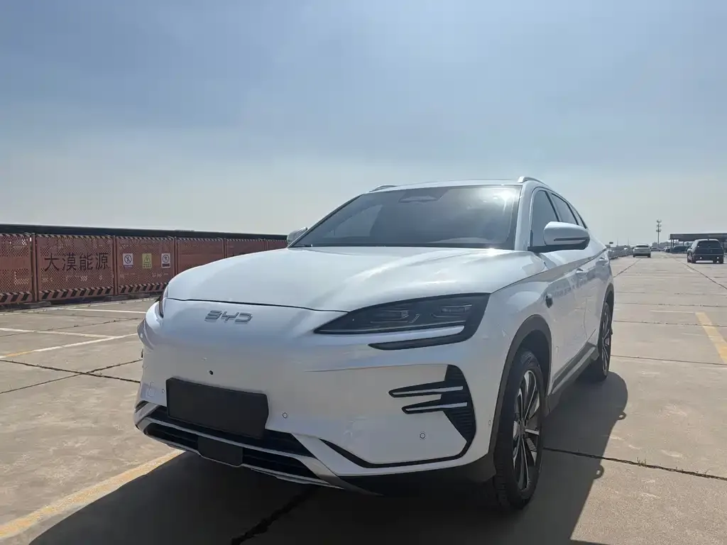 BYD PLUS New Energy — фото 1
