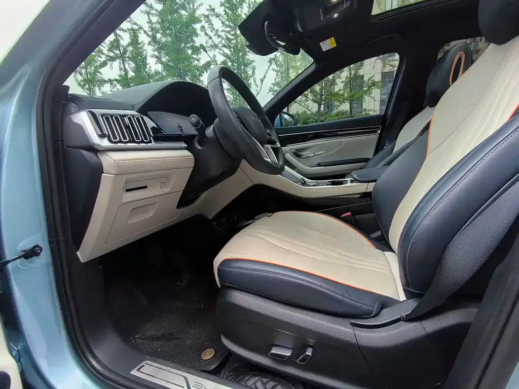 BYD PLUS New Energy — фото 5