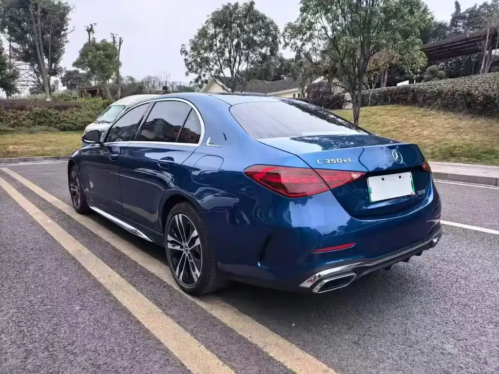 Mercedes-Benz C-Class New Energy — фото 6