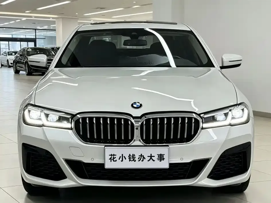 BMW 5 Series 2022 из CN, фото 4