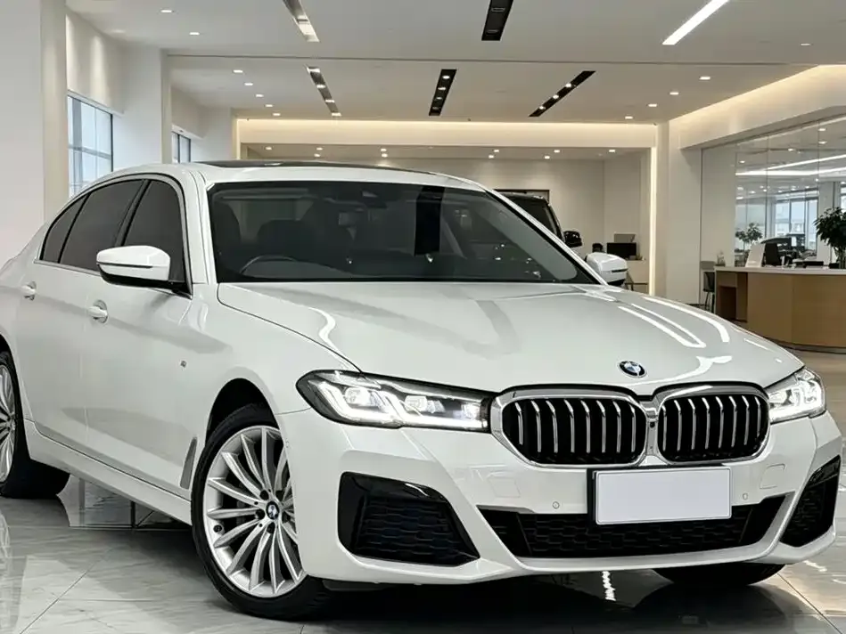 BMW 5 Series 2022 из CN, фото 6