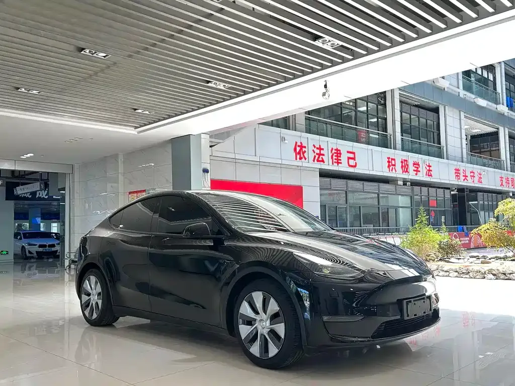 Tesla Model Y — фото 9