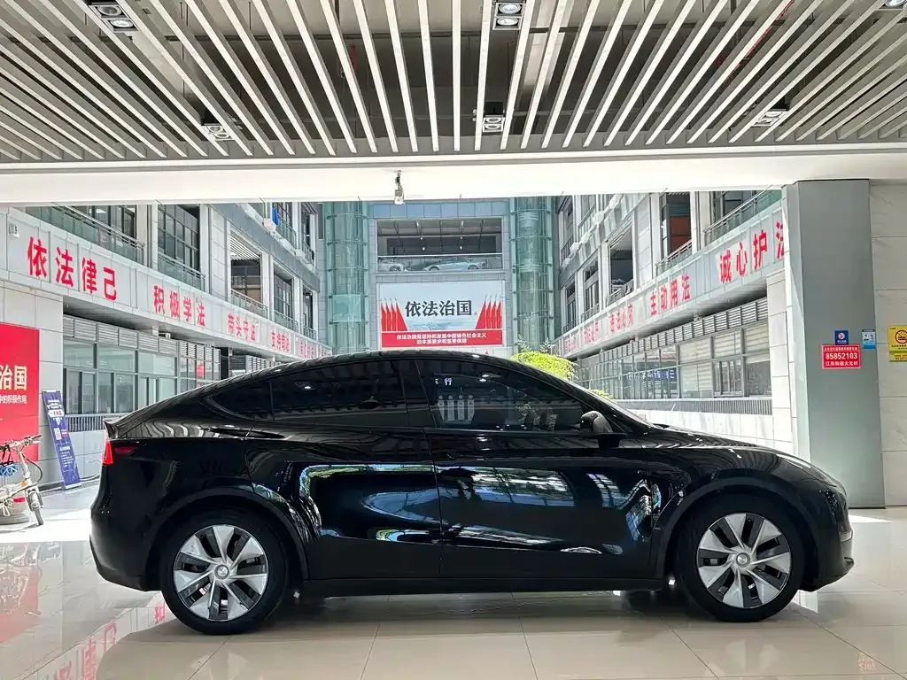 Tesla Model Y — фото 10