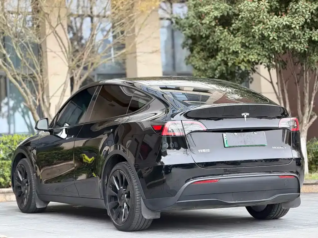 Tesla Model Y — фото 10
