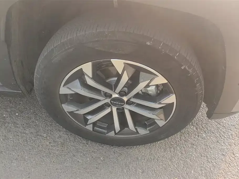 Haval H7 (Big Dog Plus) 2023 из CN, фото 4