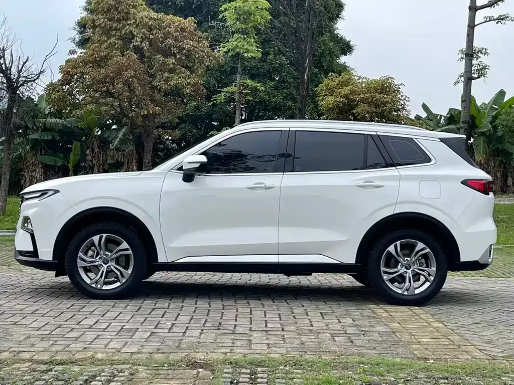 Ford Territory 2023 из CN, фото 4