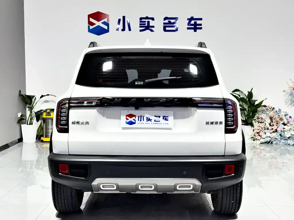Haval Big Dog — фото 7