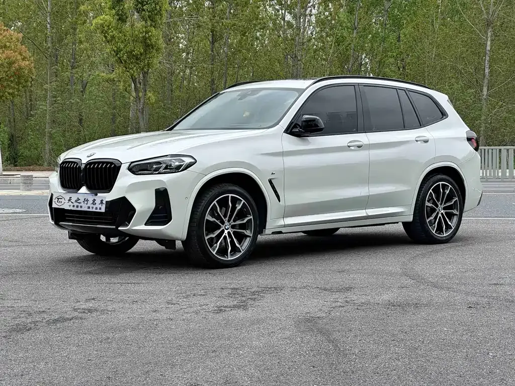 BMW X3 — фото 1