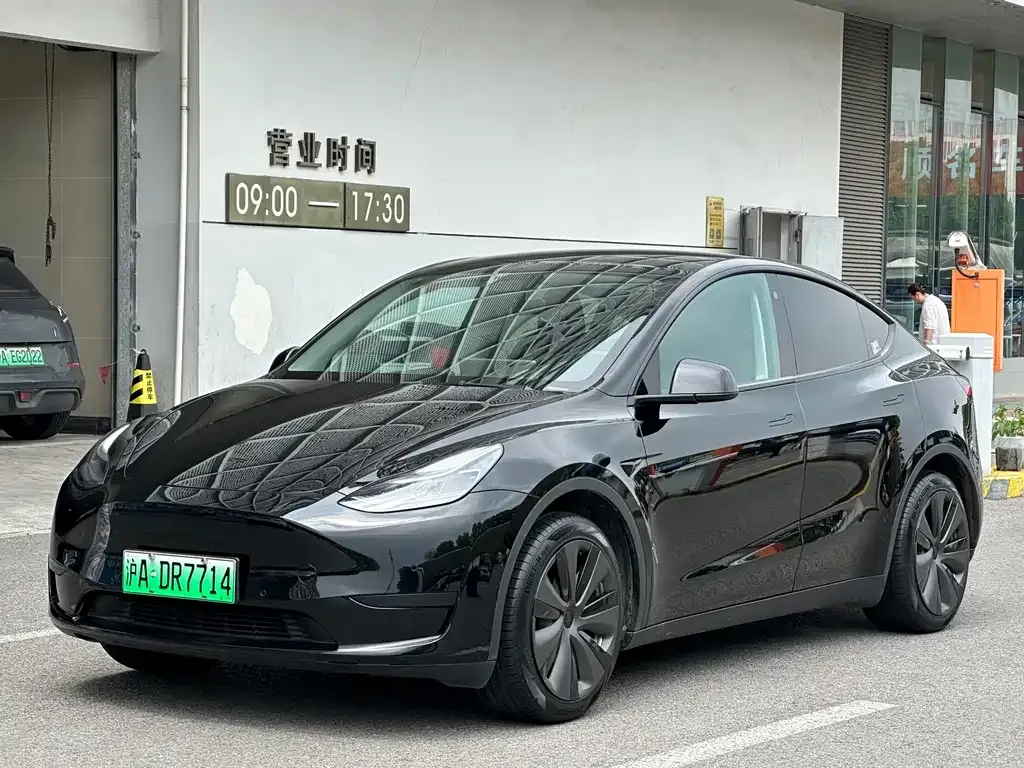 Tesla Model Y — фото 1