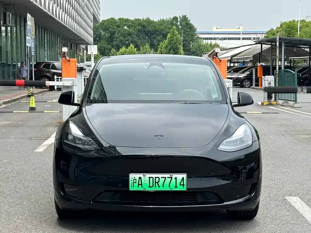 Tesla Model Y — фото 3