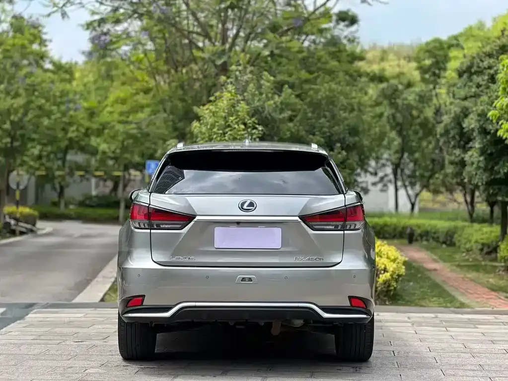 Lexus RX — фото 8