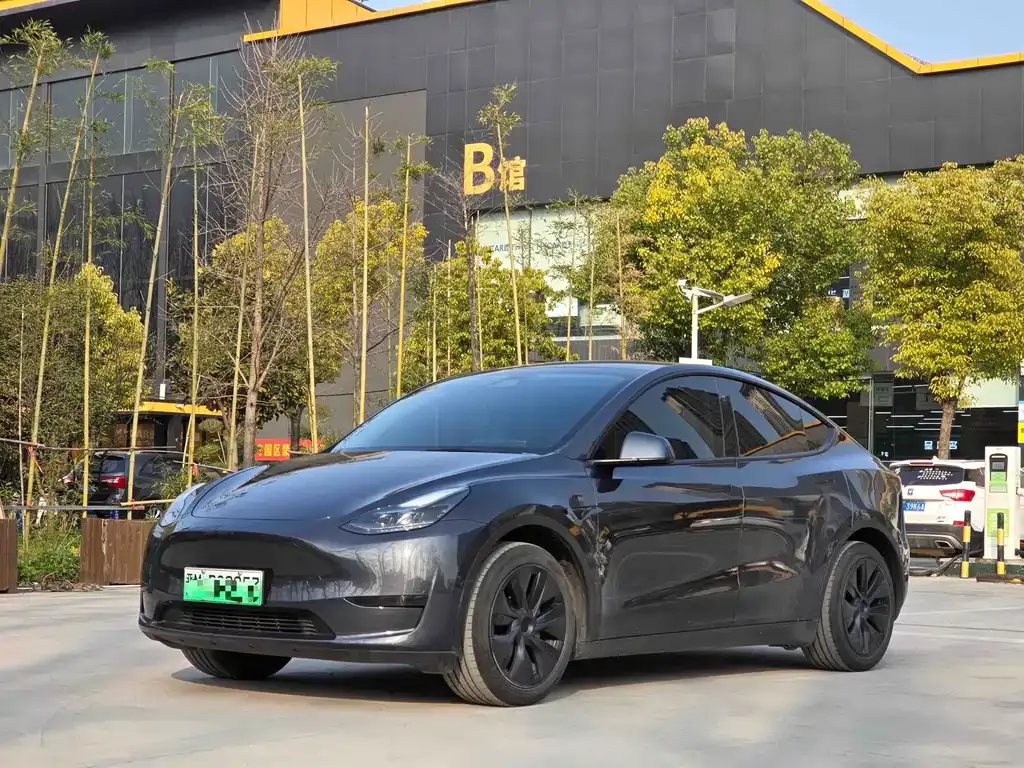 Tesla Model Y — фото 1
