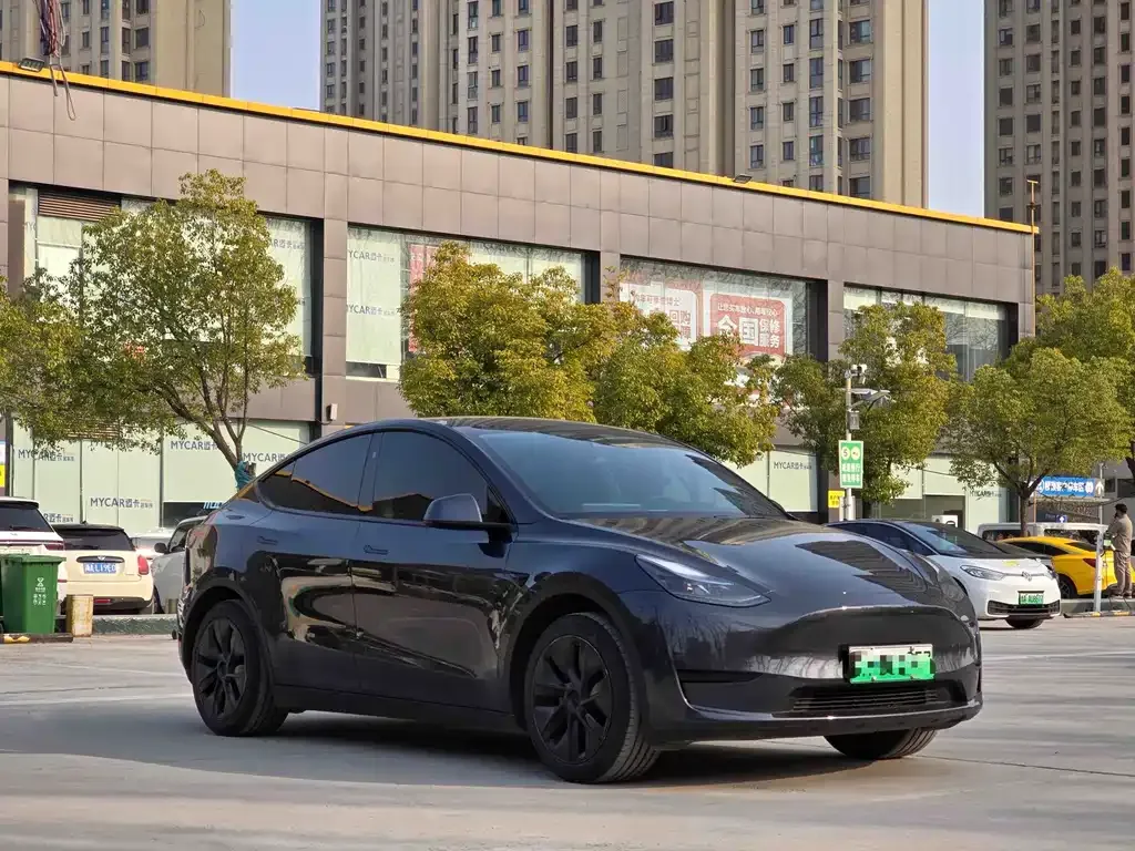 Tesla Model Y — фото 4