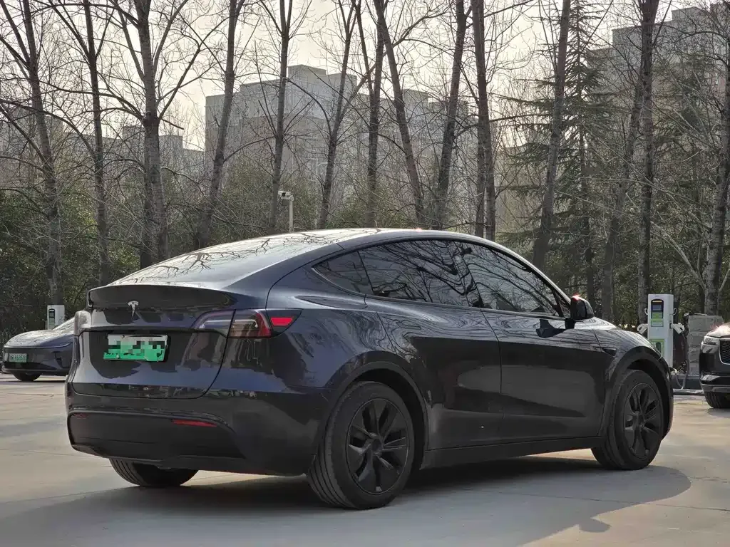 Tesla Model Y — фото 2