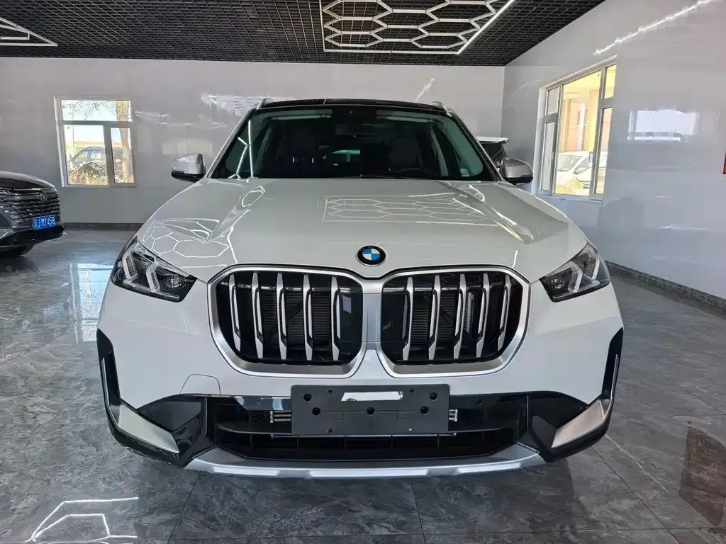 BMW X1 — фото 1
