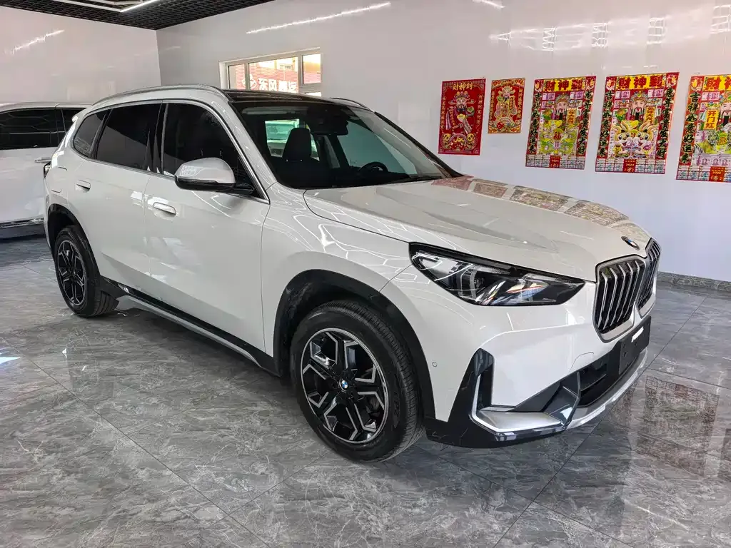 BMW X1 — фото 3