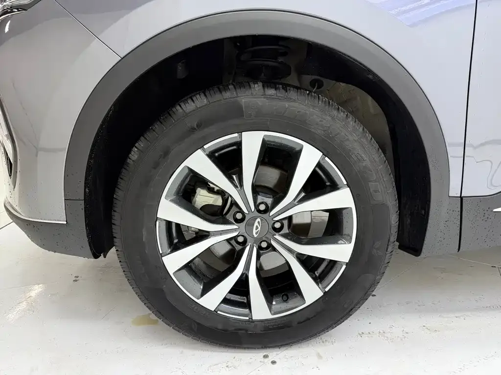 Chery Tiggo 7 PLUS — фото 8
