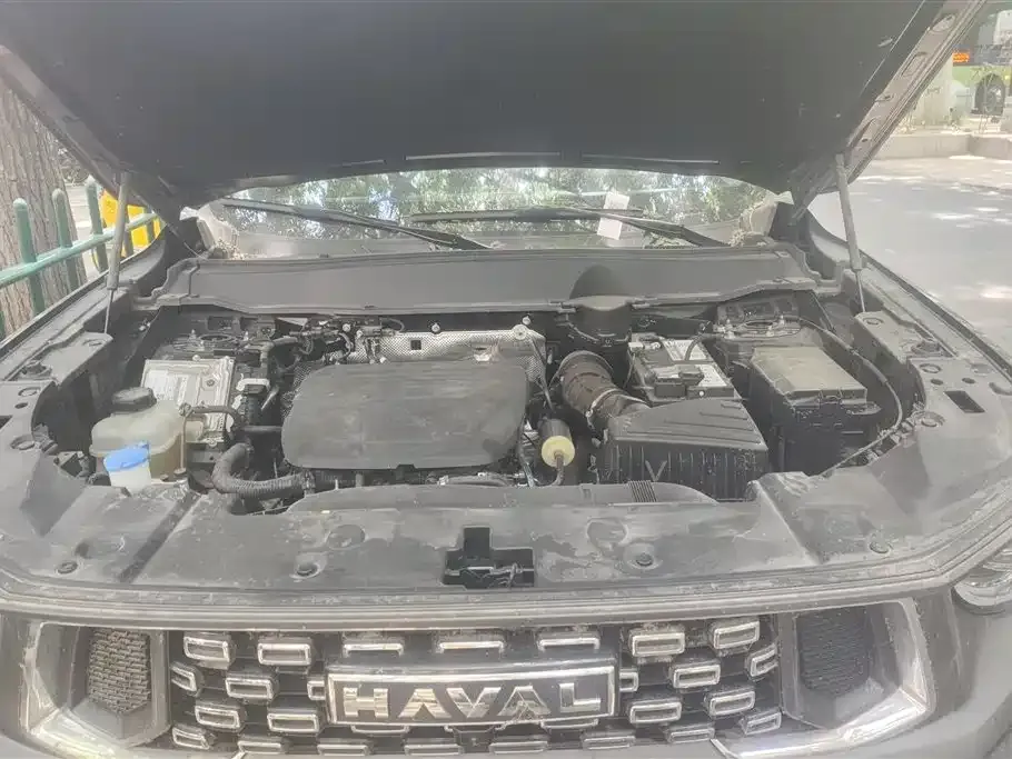 Haval H7 (Big Dog Plus) 2024 из CN, фото 7